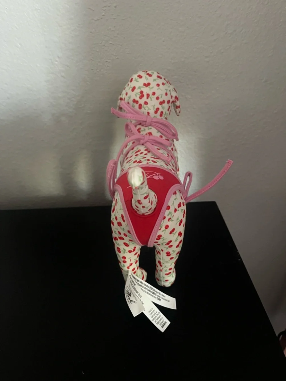 Frankie’s Bikinis X PINK Cherry-Print Bikini Dog - Picture 5 of 5